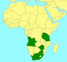 Afromelanichneumon transvaalensis_map