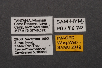 Gryon_SAM-HYM-P019670_Labels