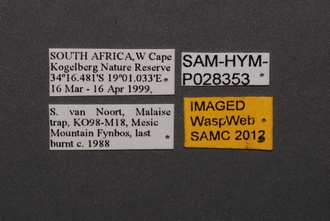 Gryon_SAM-HYM-P028353_Labels