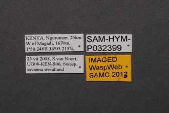 Gryon_SAM-HYM-P032399_Labels