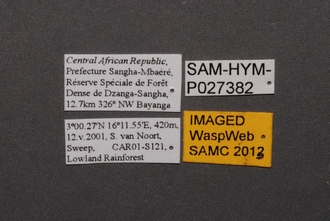 Idris_SAM-HYM-P027382_Labels