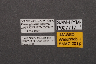 Idris_SAM-HYM-P027717_Labels