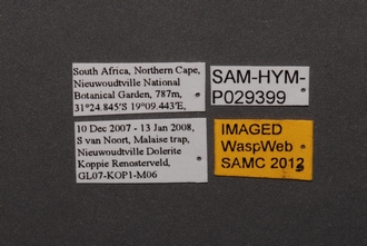 Idris_SAM-HYM-P029399_Labels