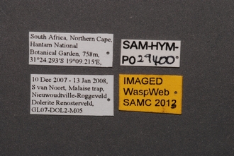 Idris_SAM-HYM-P029400_Labels