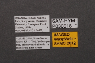 Idris_SAM-HYM-P030616_Labels