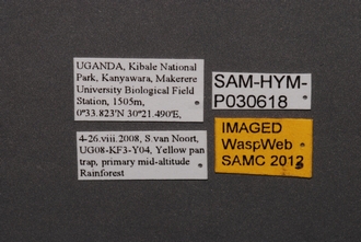 Idris_SAM-HYM-P030618_Labels