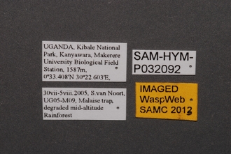 Idris_SAM-HYM-P032092_Labels