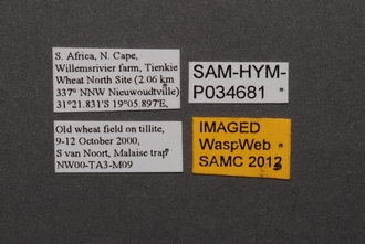 Idris_SAM-HYM-P034681_Labels