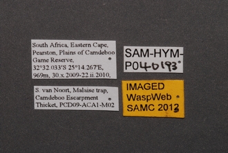 Idris_SAM-HYM-P040193_Labels