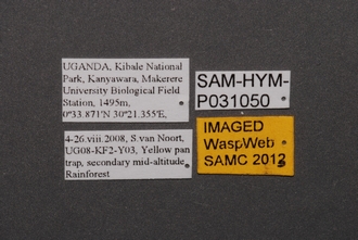 Opiscantha_SAM-HYM-P031050_Labels