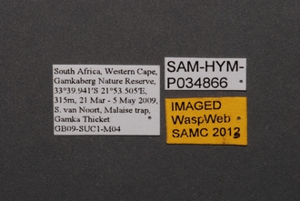 Sparasion_SAM-HYM-P034866_Labels