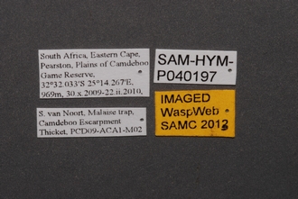 Sparasion_SAM-HYM-P040197_Labels