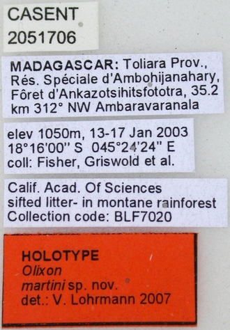Olixon_martini_holotype_female_label