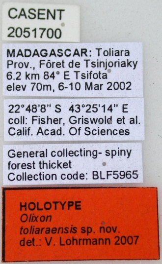 Olixon_toliaraensis_holotype_female_label