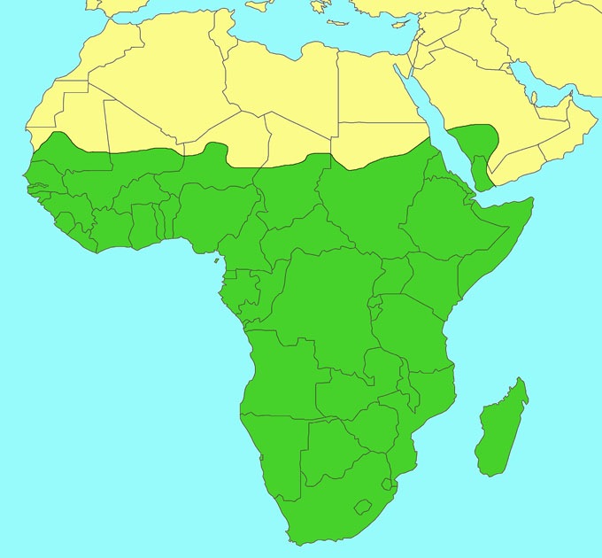 ../../RESEARCH/RESEARCH PROJECTS & FIELDWORK/CYNIPOIDEA/Afrotropical book chapter Key to genera/Plates for Afrotropical Afrotropical_region_AHI_Simon_van_Noort