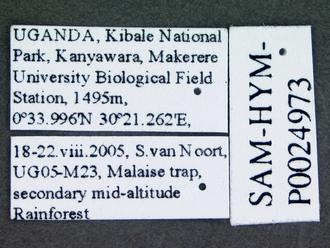 Monacon_species_labels