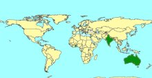 Amoturoides_map