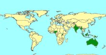 Chrysochalcissa_map
