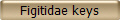 Figitidae keys