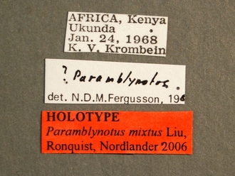 Paramblynotus_mixtus_HT_label