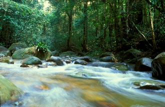 Gabon