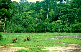 Central African Republic