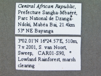 Specimen_data_labels