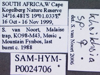 Khoikhoia_female_data_labels