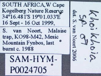 Khoikhoia_male_habitus_data_labels