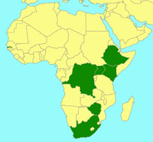 Phorotrophus bivittatus_map