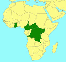 Phorotrophus congoensis_map