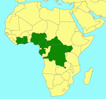 Phorotrophus mameti_map