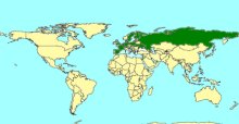 Lissonota halidayi_map
