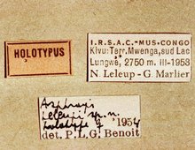 Spilopimpla_leleupi_labels