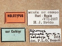 Spilopimpla_spinata_labels