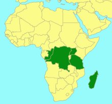 Zonocryptus latifascia_map