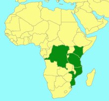 Osprynchotus gigas_map