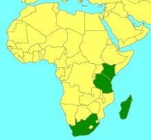 Afrectopius_map