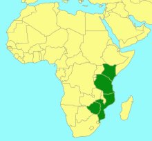 Afrotrogus rufipedalis_map