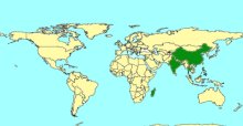 Allonotus_map