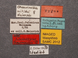 Chauvinia nitida labels
