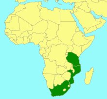 Crytea leucotrochus_map