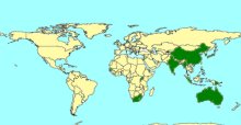 Ischnojoppa luteator_map