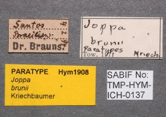Joppa_brunnii_labels