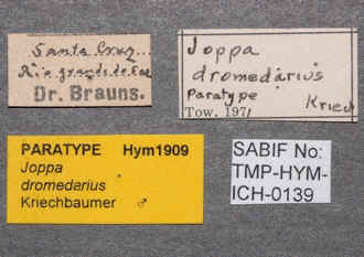 Joppa_dromedarius_labels