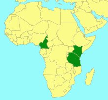 Leptotogea excellens_map