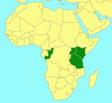 Liojoppa lucida_map