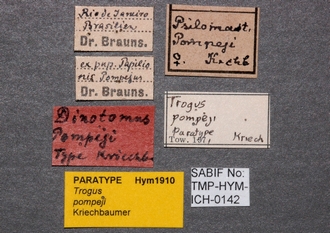 Trogus_pompeji_labels