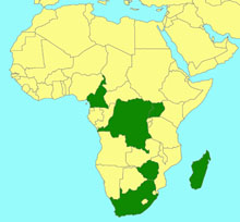 Lycorina fici map