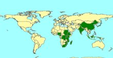 Dicamptus_map
